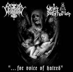 Winter Blasphemer : ... For Voice of Hatred